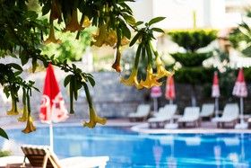 Mountain Valley Apartments & Villa's