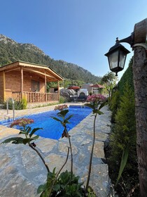 Afera Koy Evi