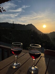Afera Koy Evi