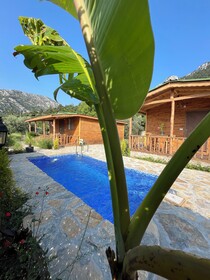 Afera Koy Evi