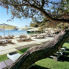 D-Maris Bay