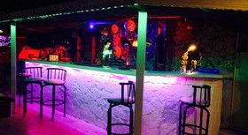 Green Palm