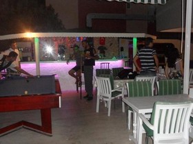 Green Palm