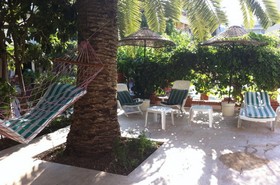 Green Palm