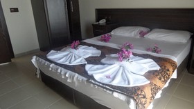 Green Palm