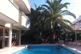 Green Palm