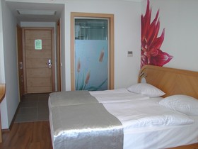 Hotel Marbella