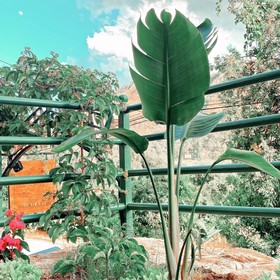 Kairos Pasa Bungalow