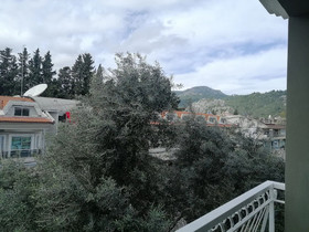 The Mu Hotel