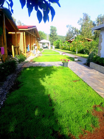 Mavi Yengec Restaurant & Bungalows