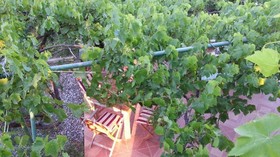 Sun Dalyan Hotel and Organic Farm