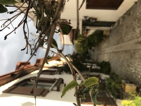 Silenos Boutique Hotel