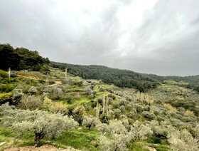 Ephesus Retreat