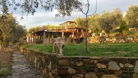 Kucuk Ciftlik Bungalow Evleri