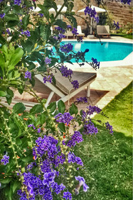 Swan Lake Boutique Hotel
