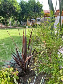 Orange Garden Hotel Akyaka