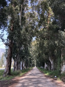 Yucca House Gökova