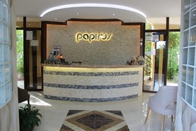 Papirus Adrasan