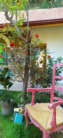 Swiss Eviniz Hotel