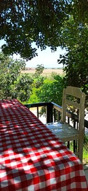 Swiss Eviniz Hotel