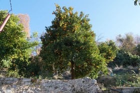 Avena Mountain Boutique Hotel