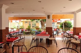 Best House Hotel