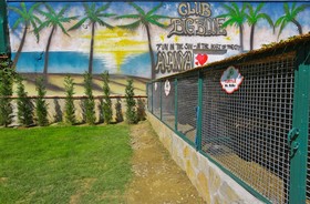 Club Big Blue Suite Hotel