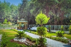 Forest Park Avsallar