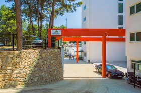 Forest Park Avsallar