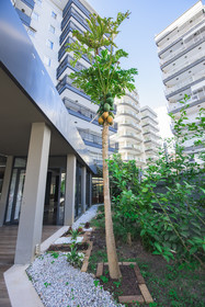 Kleopatra Tower Apart Hotel