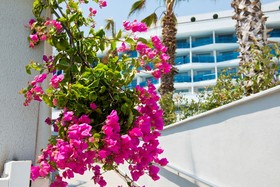 Selene Beach & Spa Hotel