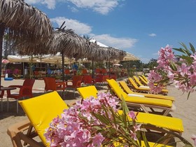 Miss Cleopatra Hotel
