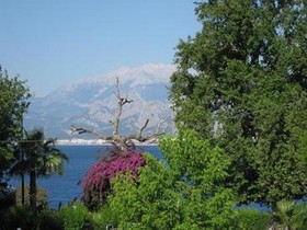 Blue Sea Garden