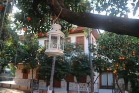 Citrus Garden Hotel