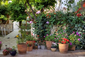 Citrus Garden Hotel