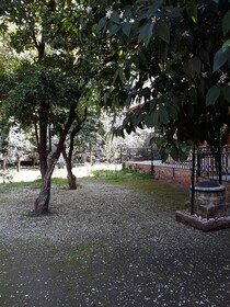 Citrus Garden Hotel