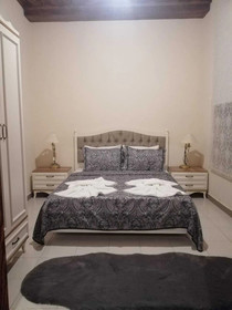 Lily Town Boutique Hotel