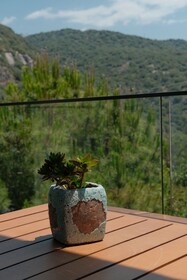 Kaktus Suites Hotel