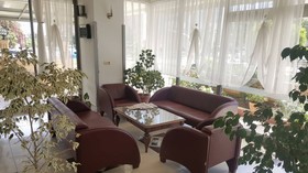 Lemon Hotel