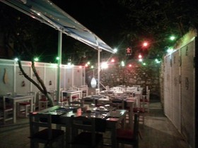 Monkey Boutique