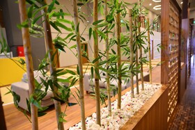 Privado Hotels