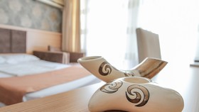 Start Otel