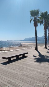 Vega Suites