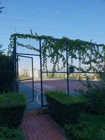 Crown City