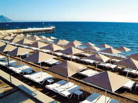 Gypsophila Club Marine