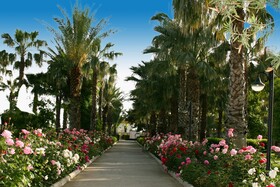 Adora Hotel & Resort