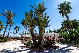 Adora Hotel & Resort