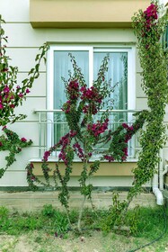 Belek Diamonds Hotel