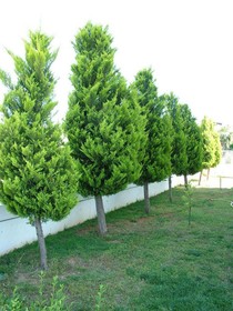 Belek Golf Apartments