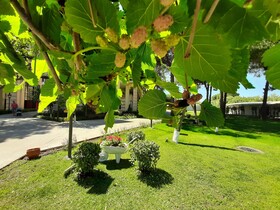 Rixos Park Belek - The Land of Legends Access
